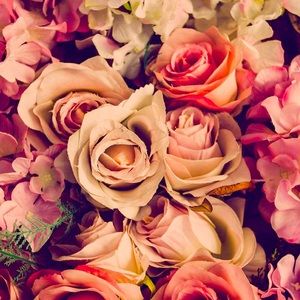 Meet your Posher, Kalie